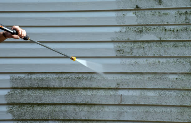 Best Affordable Pressure Washing  in Pond Creek, OK